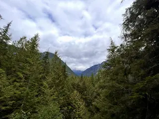 Dense evergreen forest frames a distant mountain valley beneath a cloudy sky.
