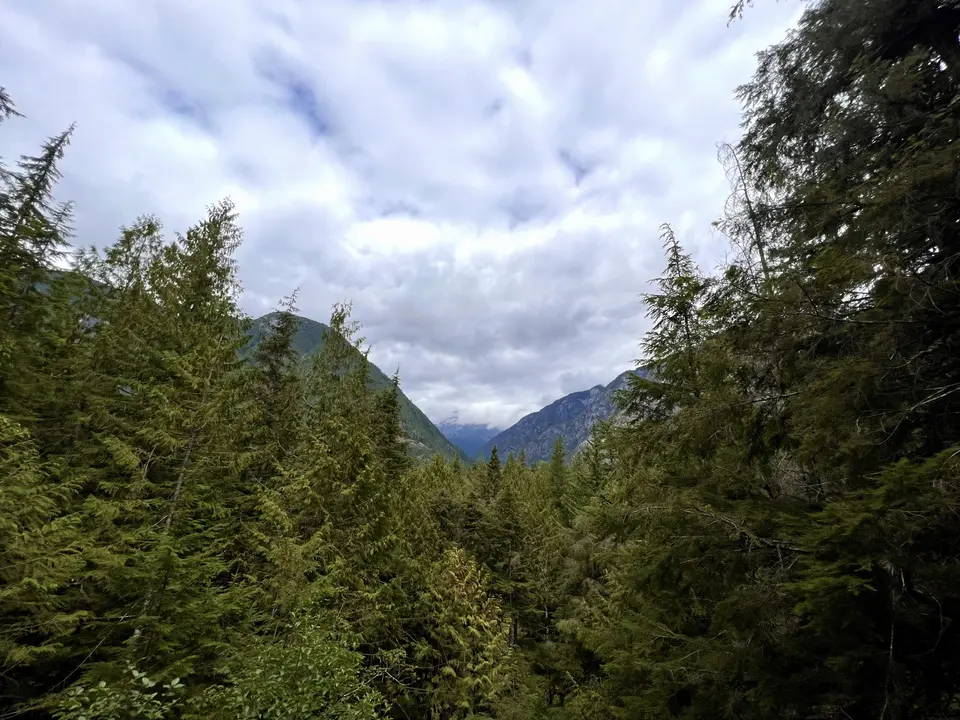 Dense evergreen forest frames a distant mountain valley beneath a cloudy sky.