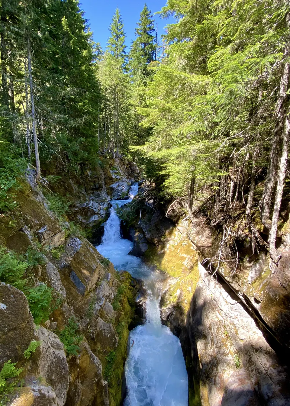 A rushing waterfall cascades through a rocky, moss-covered forest ravine beneath a clear blue sky.