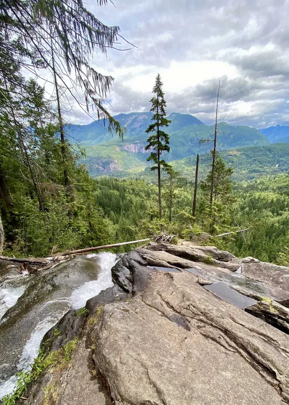 Water flows over broad rocky ledges above a dense evergreen forest with green mountains beneath a cloudy sky.