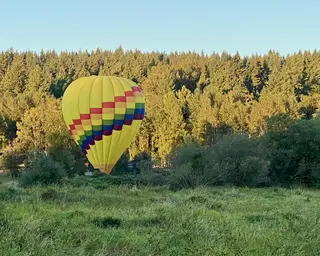 A brightly colored hot air balloon floats low above a grassy field bordered by dense evergreen trees.