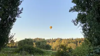 A yellow-and-orange hot air balloon floats above a forested hillside framed by leafy trees beneath a clear blue sky.