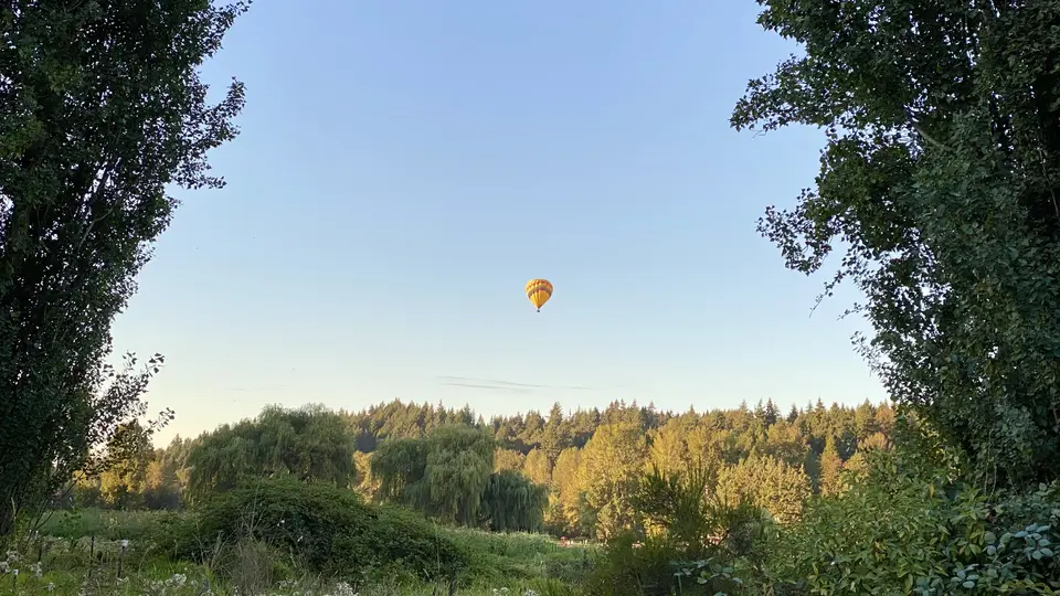 A yellow-and-orange hot air balloon floats above a forested hillside framed by leafy trees beneath a clear blue sky.