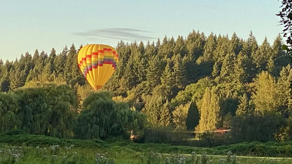 A brightly striped yellow hot air balloon floats above a sunlit forested hillside.