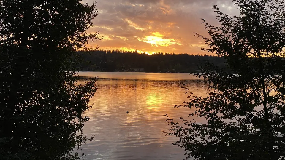A glowing sunset reflects across a calm lake framed by dark leafy trees and a forested shoreline.