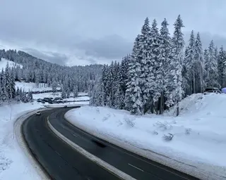 A winding wet road curves through snow-covered evergreen trees beneath a cloudy winter sky.
