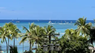 Palm trees frame a bright turquoise ocean with several sailboats offshore beneath a clear blue sky.