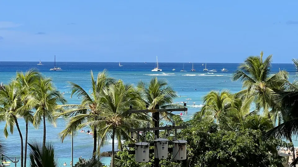Palm trees frame a bright turquoise ocean with several sailboats offshore beneath a clear blue sky.