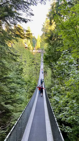 Visitors walk across a narrow suspension bridge surrounded by dense green forest in warm sunlight.