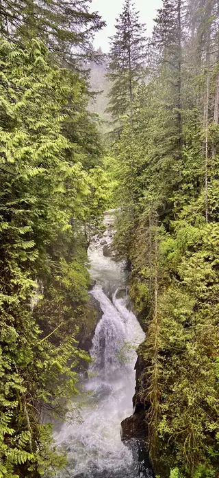A rushing waterfall tumbles through a narrow rocky gorge surrounded by dense evergreen forest.