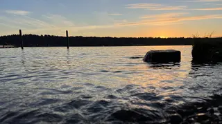 Rippling water reflects a golden sunset beneath a forested shoreline, with wooden posts and a large rock near the edge.