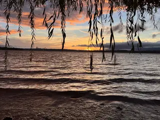 The setting sun glows over rippling lake water beneath hanging tree branches and scattered clouds.