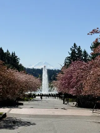 A tall fountain rises along a tree-lined park walkway beneath a clear blue sky, with a snow-capped mountain in the distance.