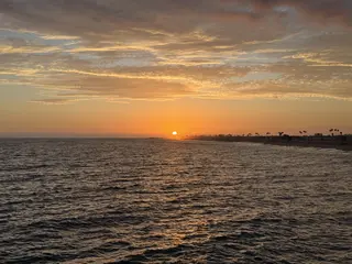 A golden sun sets over a beach with palm trees and waves.