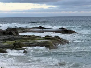 Green moss covers rocks next to a body of water under a cloudy sky.