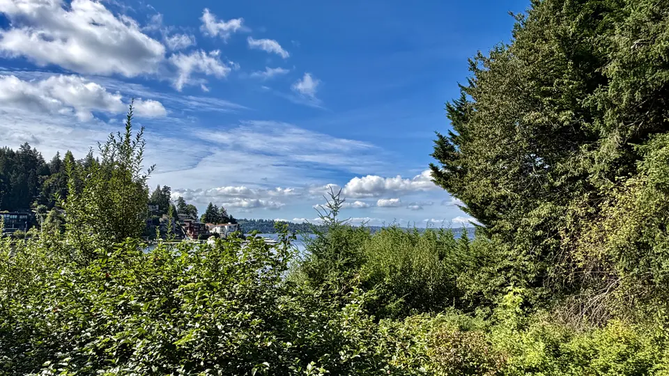 Dense green shrubs and trees frame a distant waterfront beneath a bright blue sky with scattered clouds.