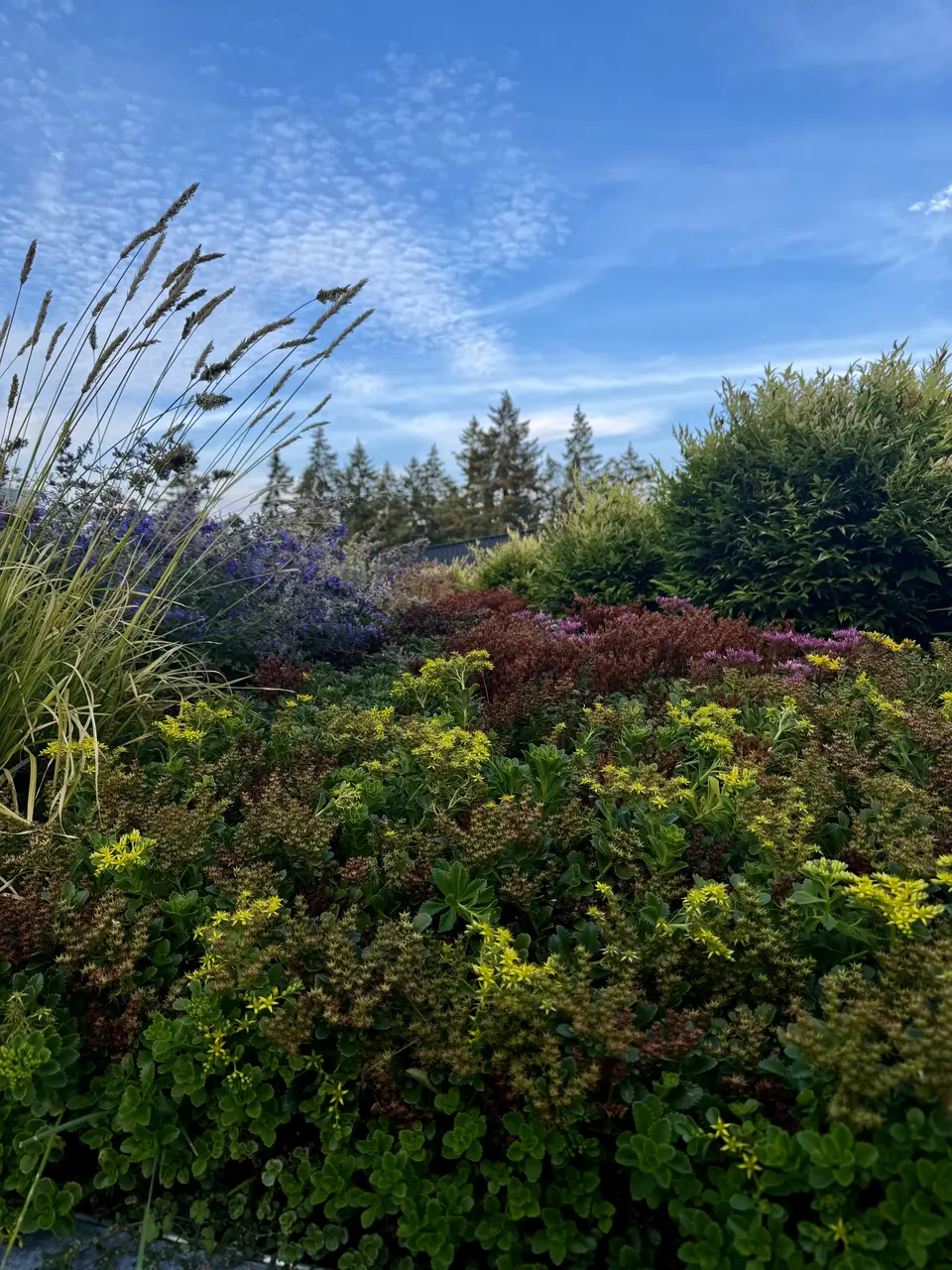 A lush garden bed of flowering plants and ornamental grasses rises beneath a bright blue, cloud-streaked sky.