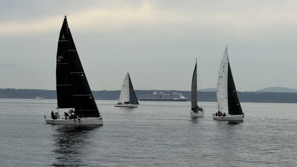 Several sailboats glide across calm water with a large cruise ship in the distance beneath a hazy sky.
