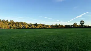 A broad green grass field stretches toward a line of autumn-colored trees beneath a clear blue sky streaked with wispy clouds.